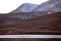 Mountains (25)